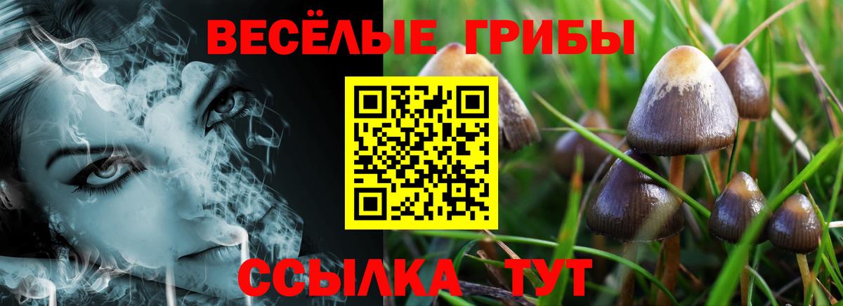 купить закладку  Вход с VPN  Тельмана  Псилоцибиновые грибы мухоморы  Галлюциногенные грибы Cubensis 