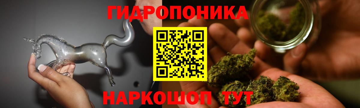 Канабис сатива  Вход с VPN  Тельмана  Шишки марихуана MAZAR  Марихуана план 
